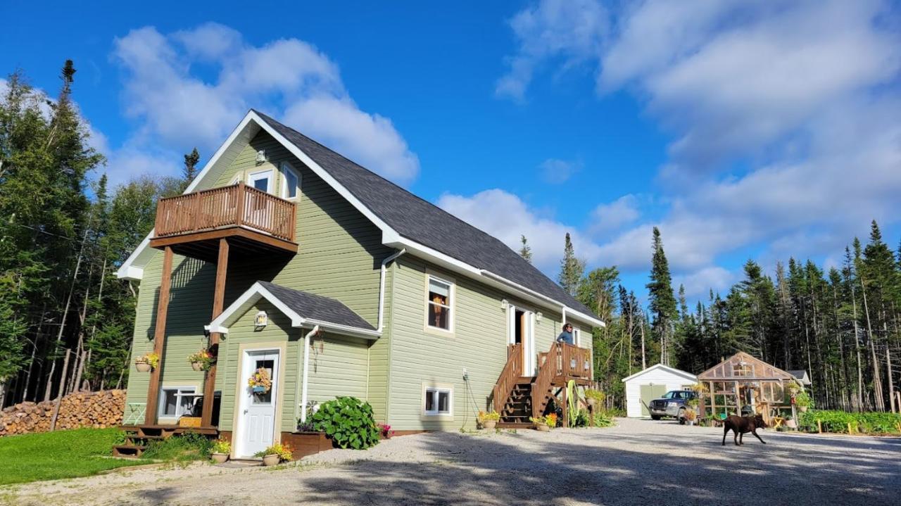 Upper Humber Settlement A Farmstay B&B Cormack Bagian luar foto