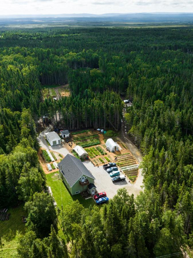 Upper Humber Settlement A Farmstay B&B Cormack Bagian luar foto