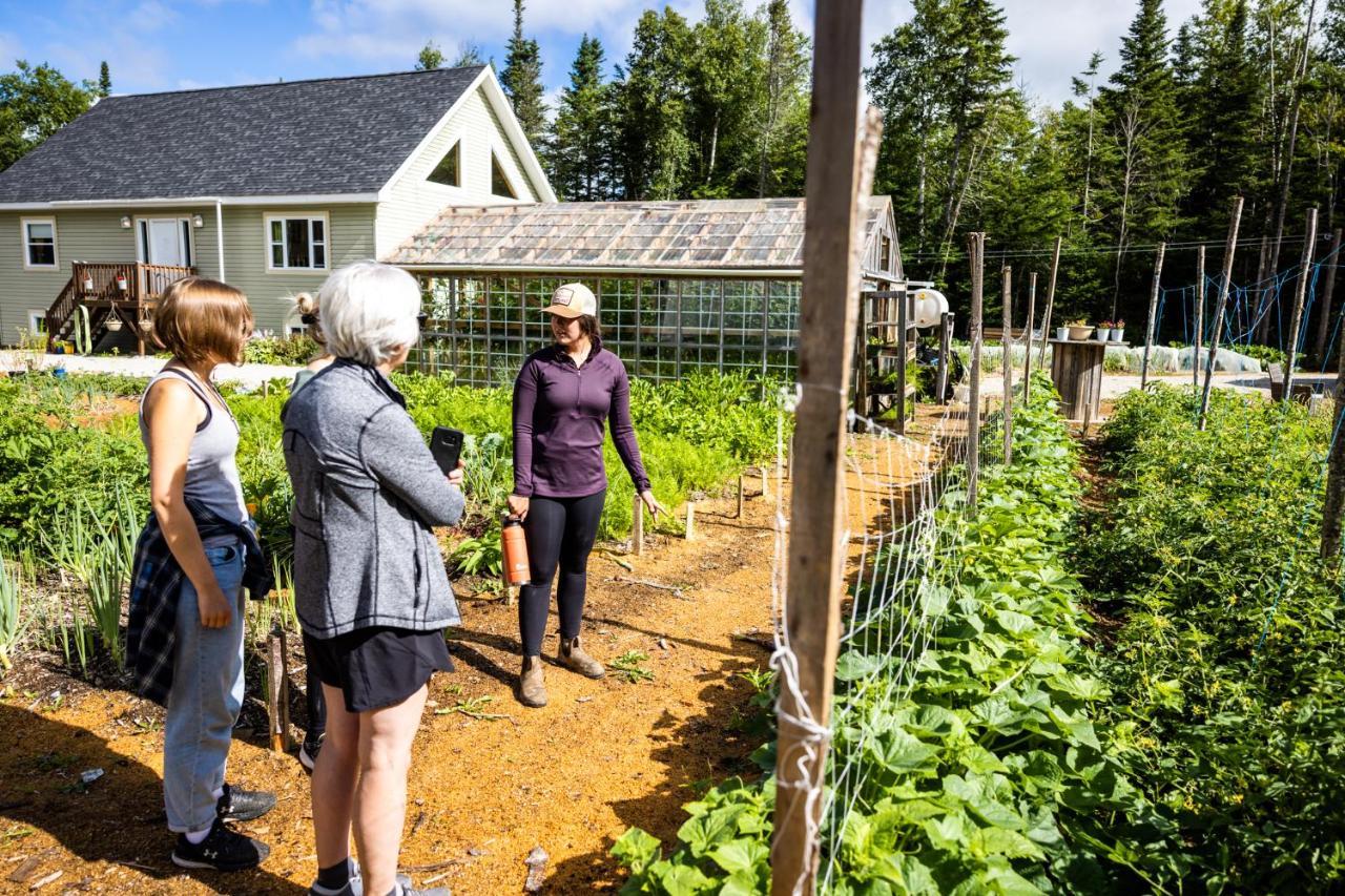 Upper Humber Settlement A Farmstay B&B Cormack Bagian luar foto